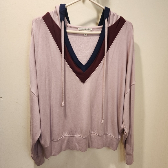 EXPRESS women's Pullover Hoddie Rose Relaxed fit V Neck Sweater size M - Picture 3 of 8